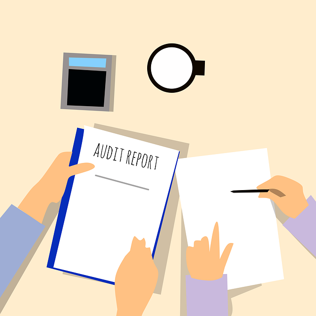 Tax Returns Audited